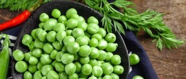 豌豆发芽了还可以吃吗 豌豆是毛豆吗