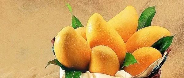 芒果的热量高不高 芒果吃了会胖吗