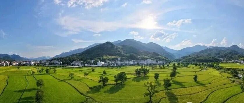 麻城最美稻田，请欣赏→