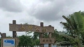 在阳江阳西这座充满魅力的城市中，西湖公园宛如一颗璀璨的明珠，静静地镶嵌在城市中央，散发着独特的光芒