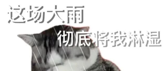 双台风接力影响广东！“风王”级“桦加沙”或24-25日登陆，风雨影响将持续升级​