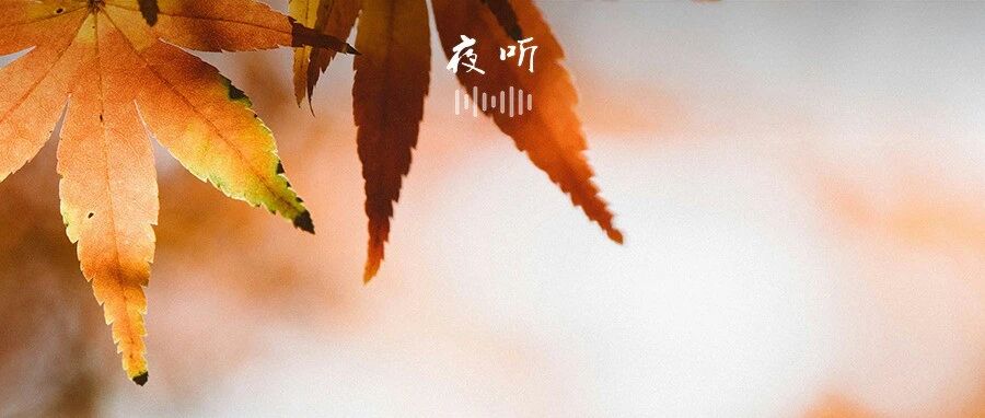 【夜听】2025最后90天，把日子过好