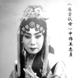 杨金凤