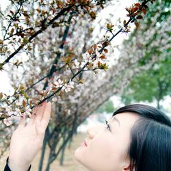 李如雪