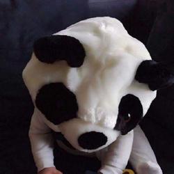 刘苡馨
