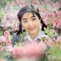 张闽