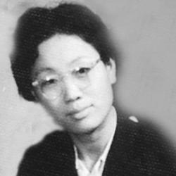 新艳琴