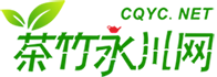 茶竹永川网