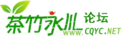 永川论坛 