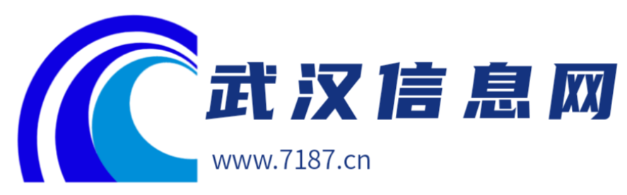 武汉信息网网站截图预览
