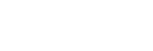 同城交友婚恋网站截图