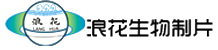 生物切片,生网站截图