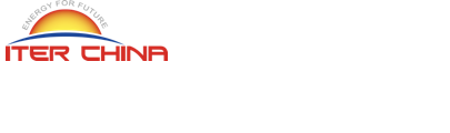 中国国际核聚网站截图
