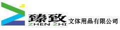 湛江臻致网站截图