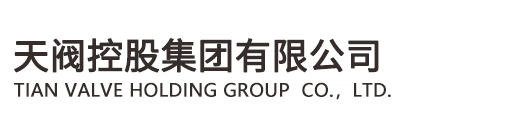 天阀控股集团