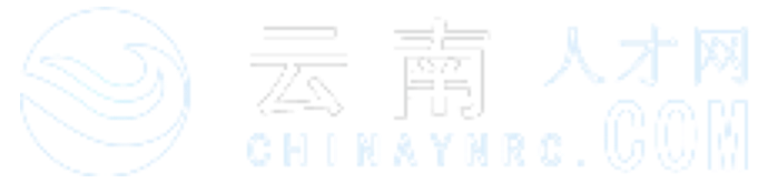 云南人才网网站截图
