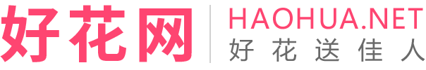 鲜花网-鲜花网站截图
