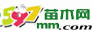 597苗木网网站截图预览