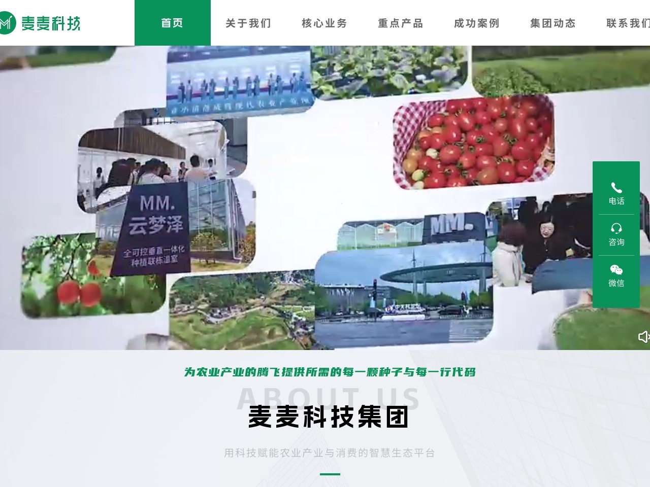 麦麦科技